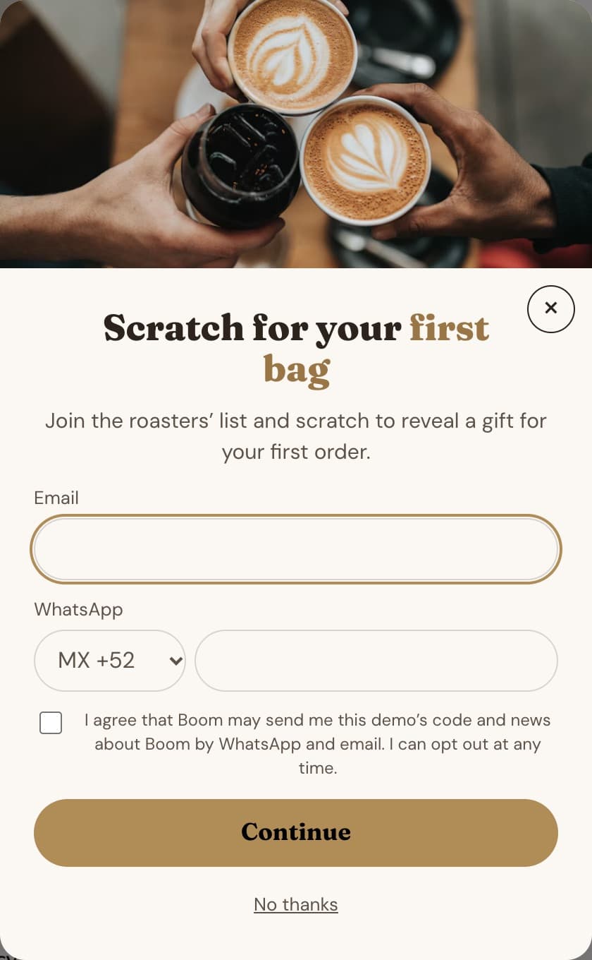 The Lead Capture pop-up as a shopper sees it